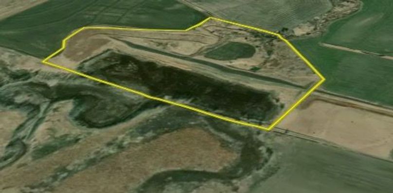 Screen Shot 2022-07-14 at 1.55.02 PM