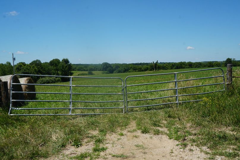 DSC07179