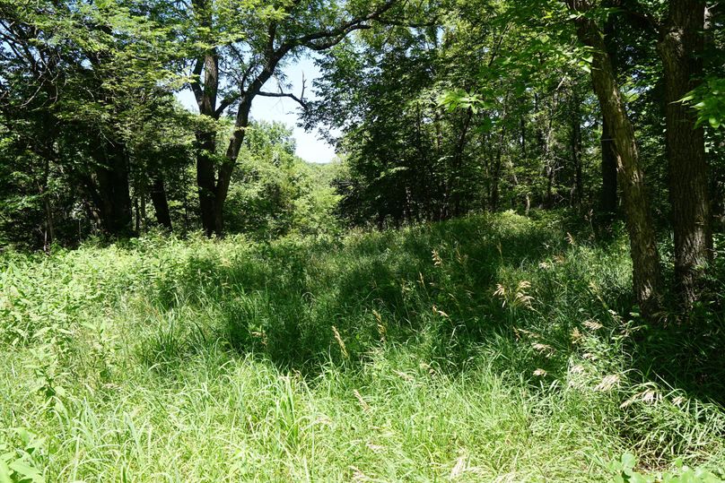 DSC07159
