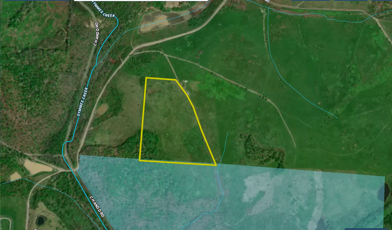 Screen Shot 2022-07-20 at 10.01.05 AM