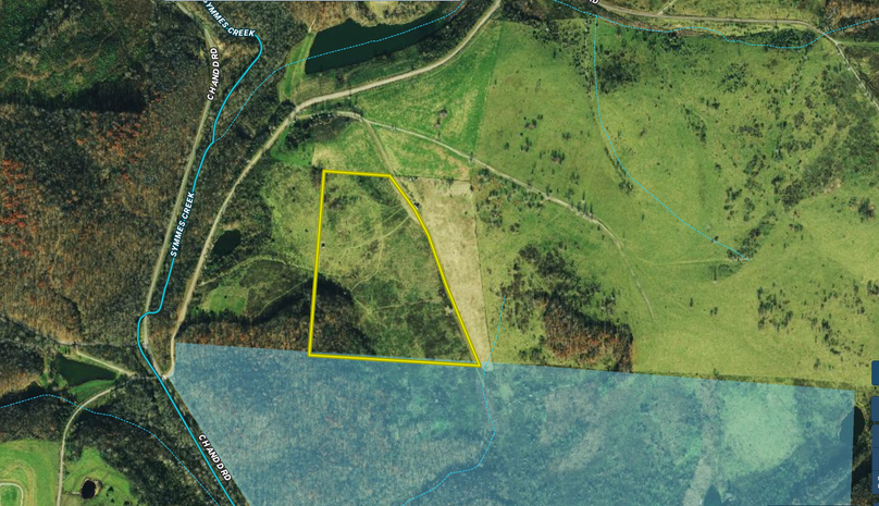 Screen Shot 2022-07-20 at 10.02.06 AM