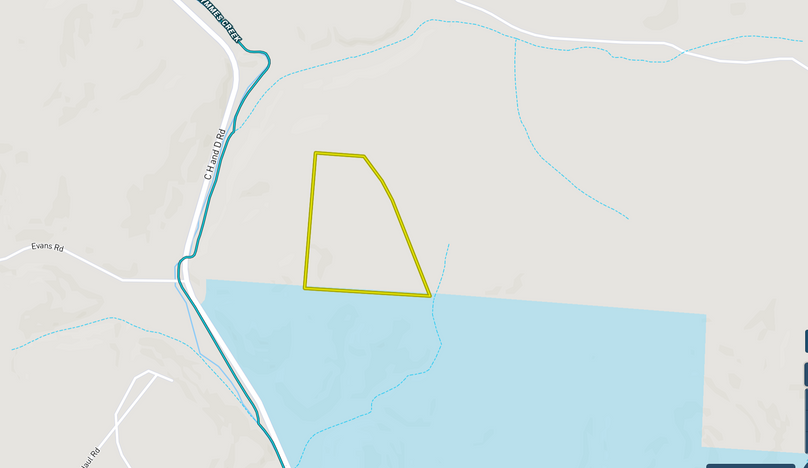 Screen Shot 2022-07-20 at 10.04.30 AM