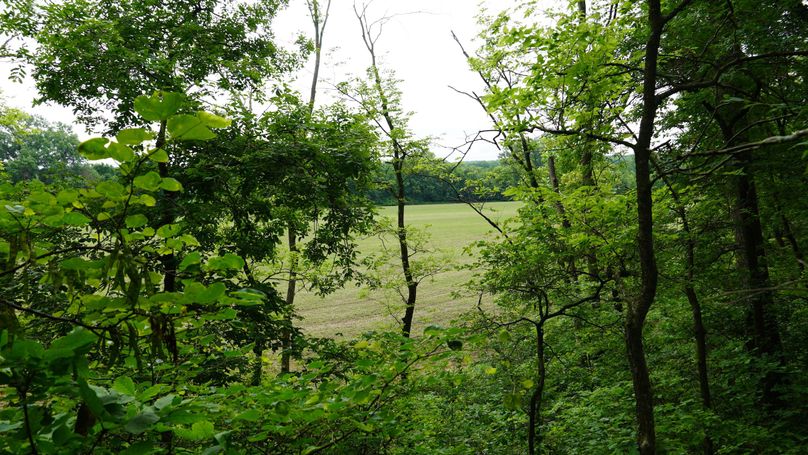 DSC01009