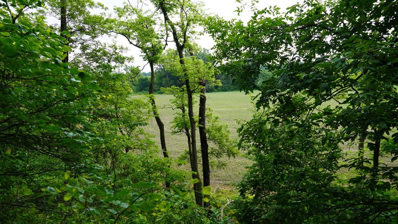DSC01010