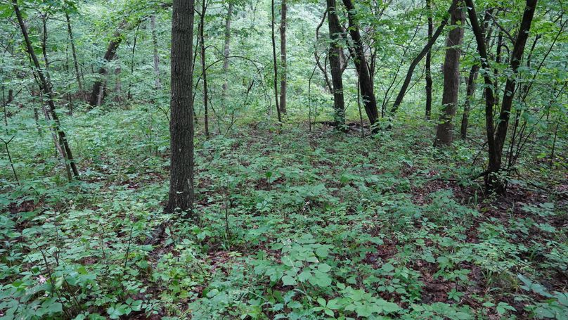 DSC01002
