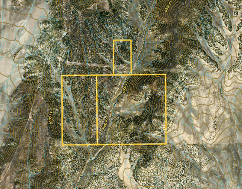 Screen Shot 2022-07-22 at 11.42.53 AM