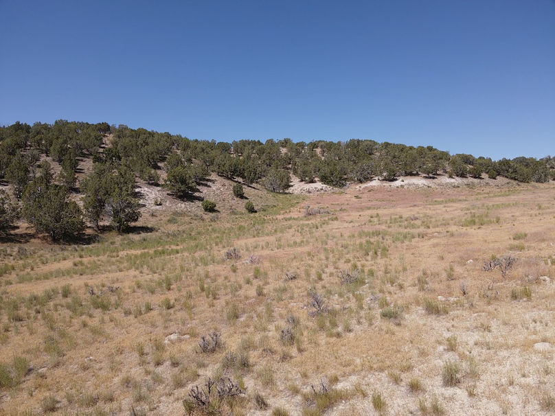 2022-06-16-10-54-32-278