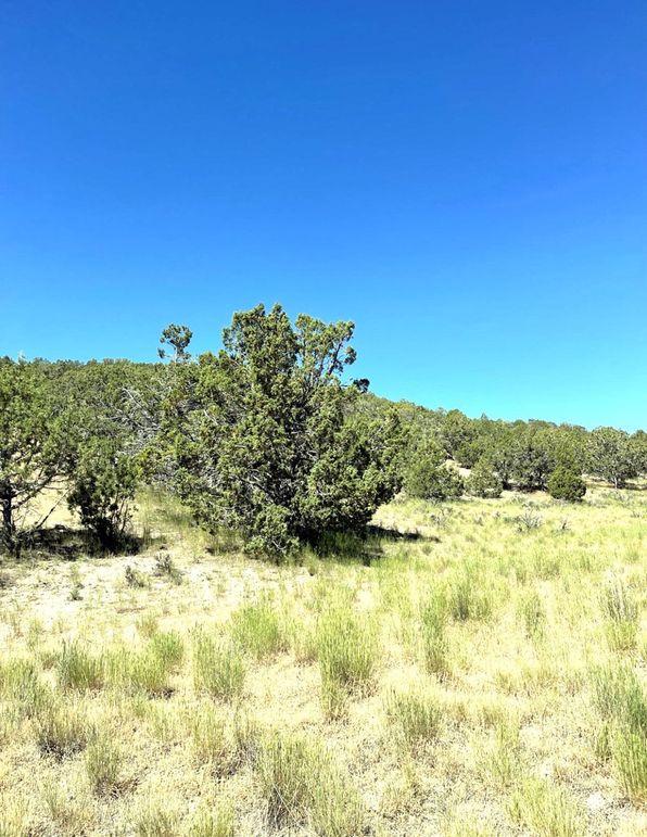 Photos Sanpet 260 page 4