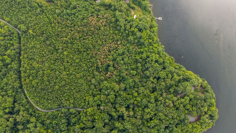 Northhamptons Photos-2