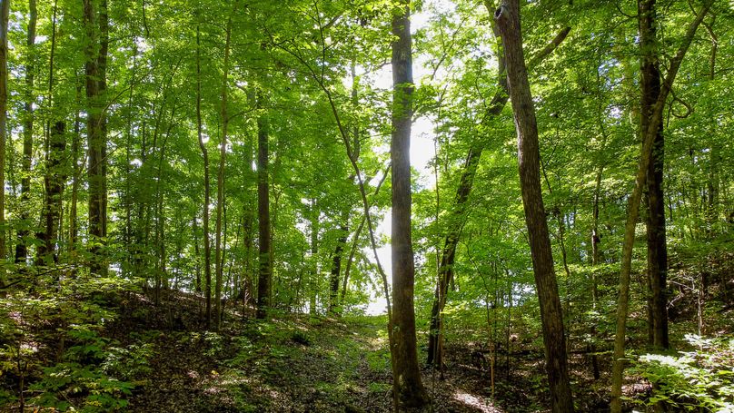 Northhamptons Photos-18