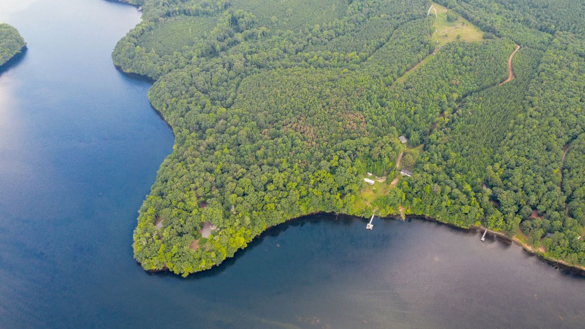 Waterfront Property On Roanoke Rapids Lake Whitetail Properties