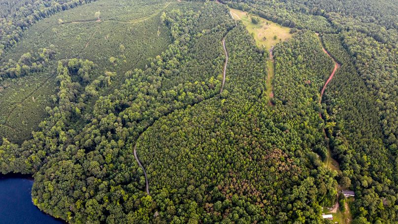 Northhamptons Photos-3