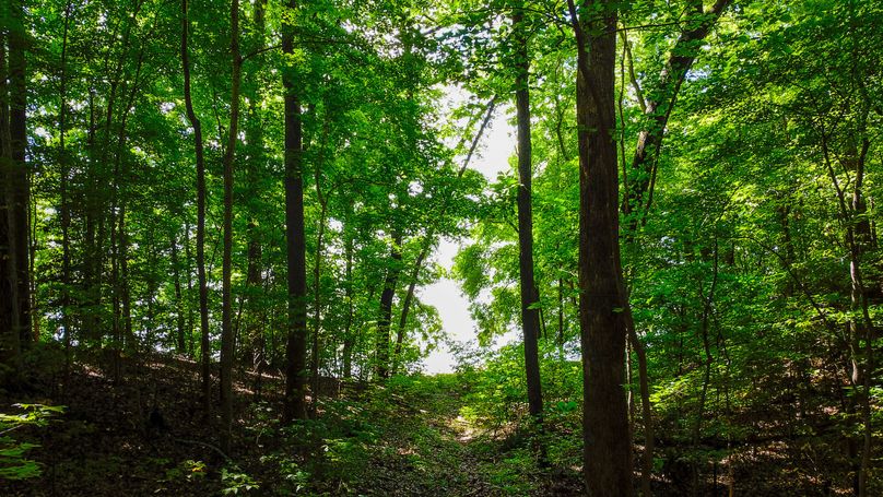 Northhamptons Photos-17