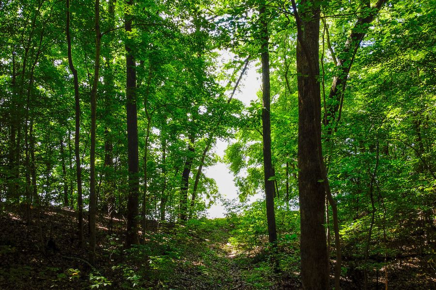 Northhamptons Photos-17