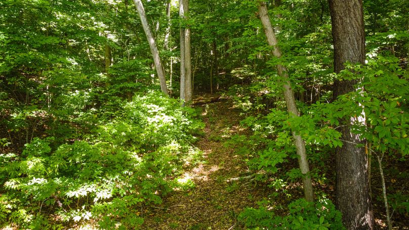 Northhamptons Photos-12