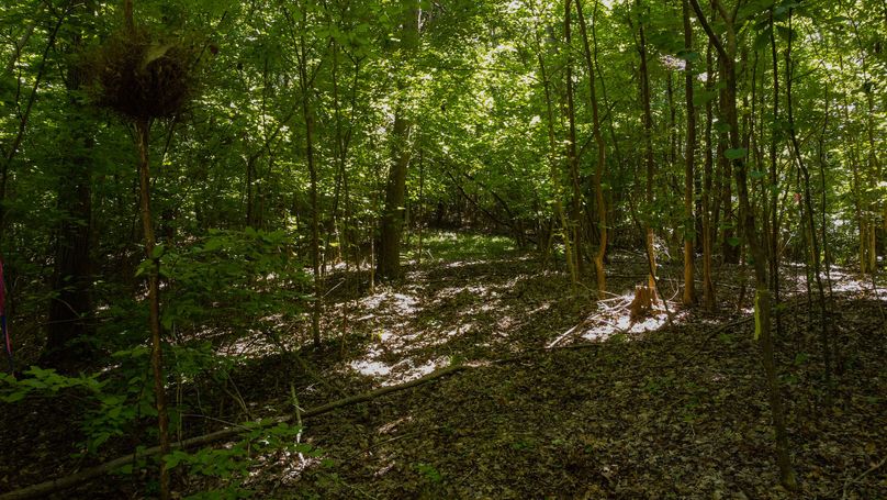 Northhamptons Photos-20