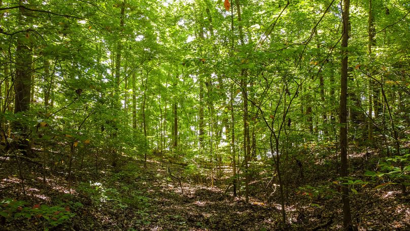 Northhamptons Photos-15