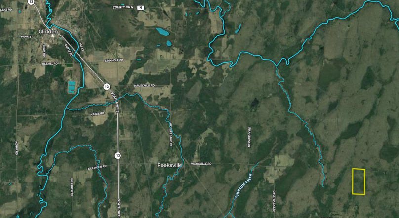 Screen Shot 2022-08-04 at 1.21.05 PM