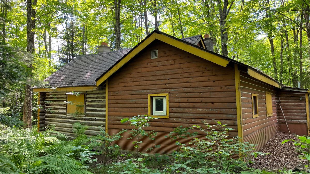 Northwoods Cabin And Hunting Land For Sale Whitetail Properties