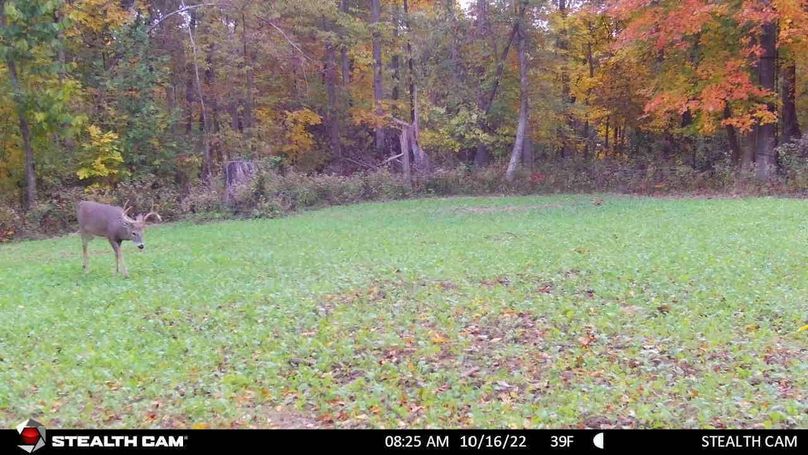 864049051195065_16102022080209155_2