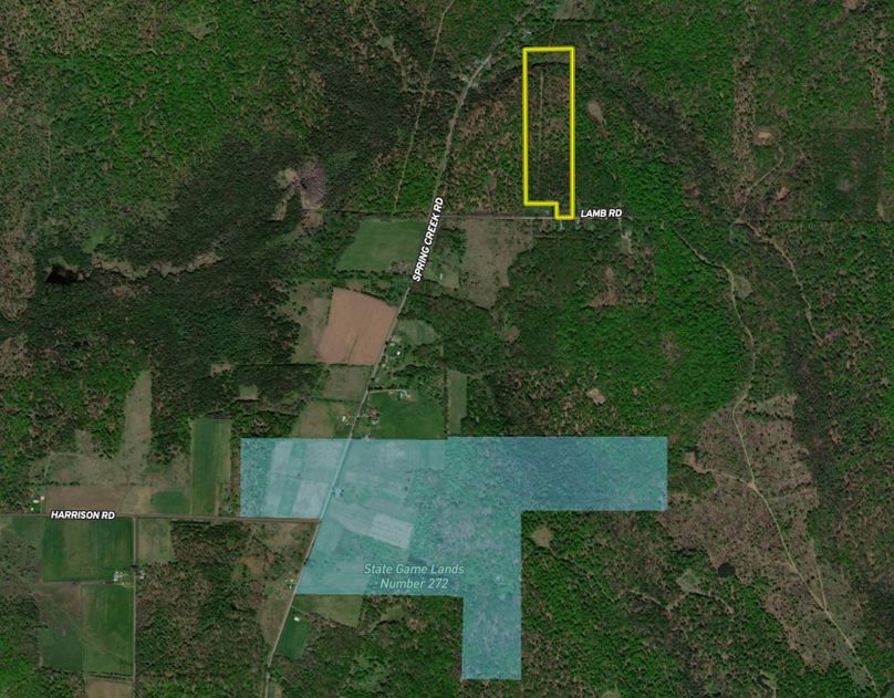 Screen Shot 2022-07-24 at 8.07.30 PM