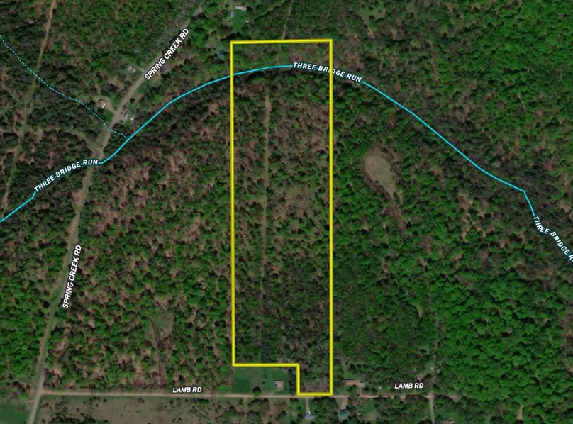 Screen Shot 2022-07-24 at 7.33.32 PM