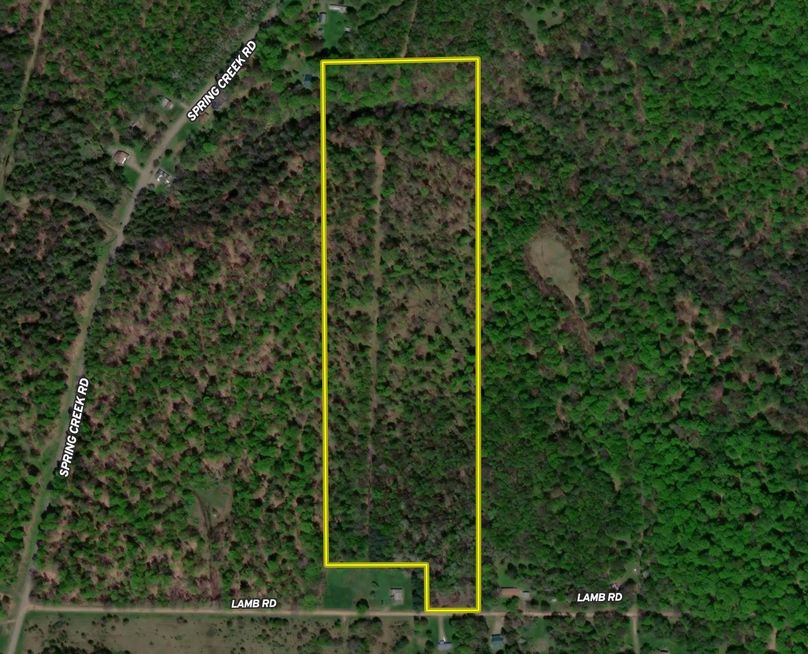 Screen Shot 2022-07-24 at 7.32.53 PM