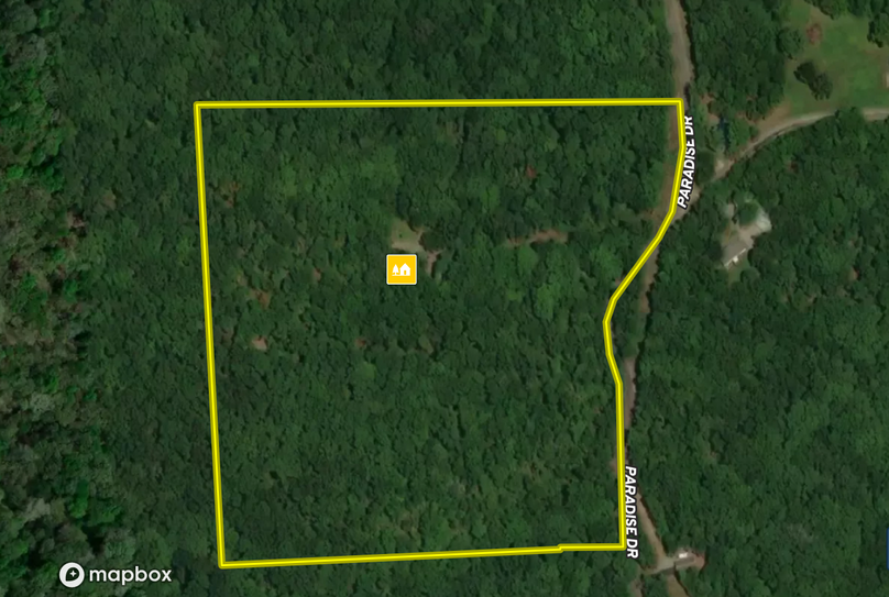 Screen Shot 2022-07-11 at 2.29.44 PM