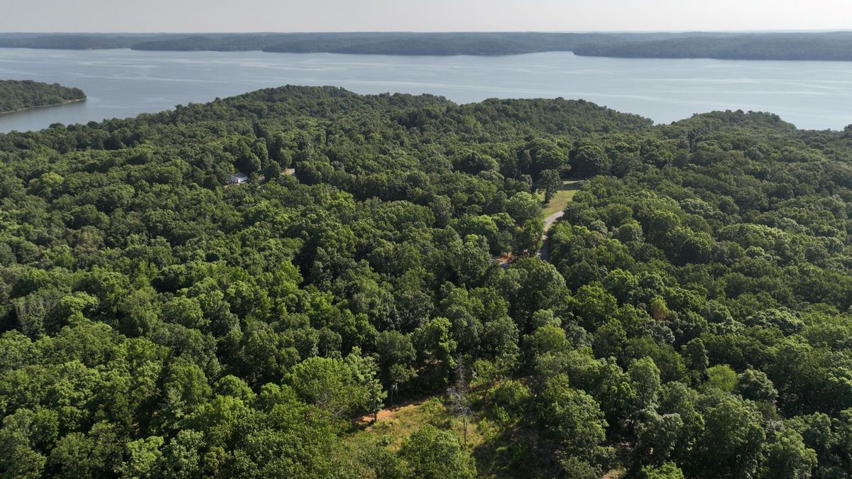 OffGrid Cabin With Acreage Close To Kentucky Lake Whitetail Properties