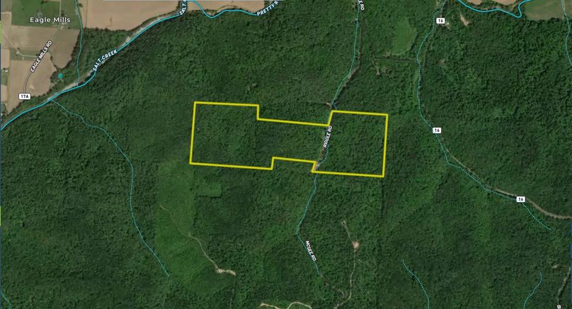 Screen Shot 2022-08-24 at 8.42.21 AM