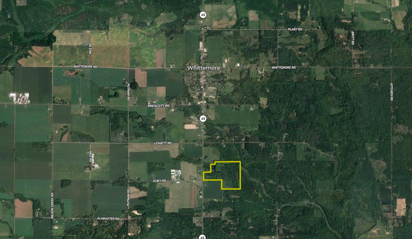 Screen Shot 2022-08-01 at 10.46.10 AM