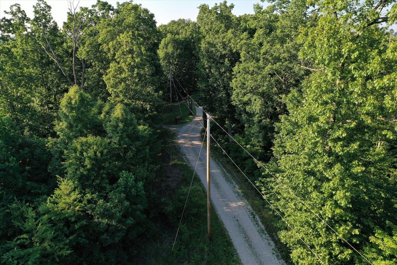 010 Chop Chestnut Road looking north along the eastern boundary of the property