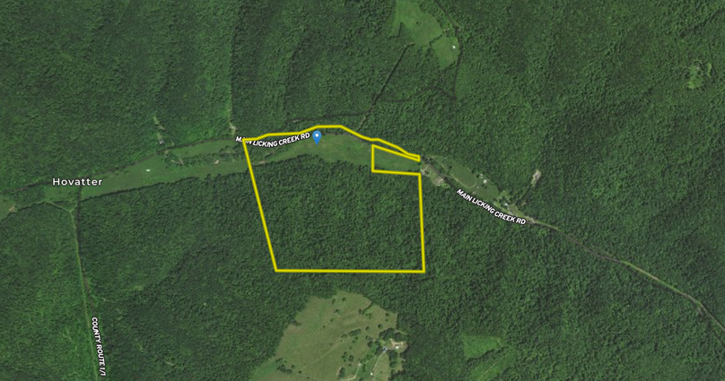 Screen Shot 2022-07-31 at 6.46.24 AM