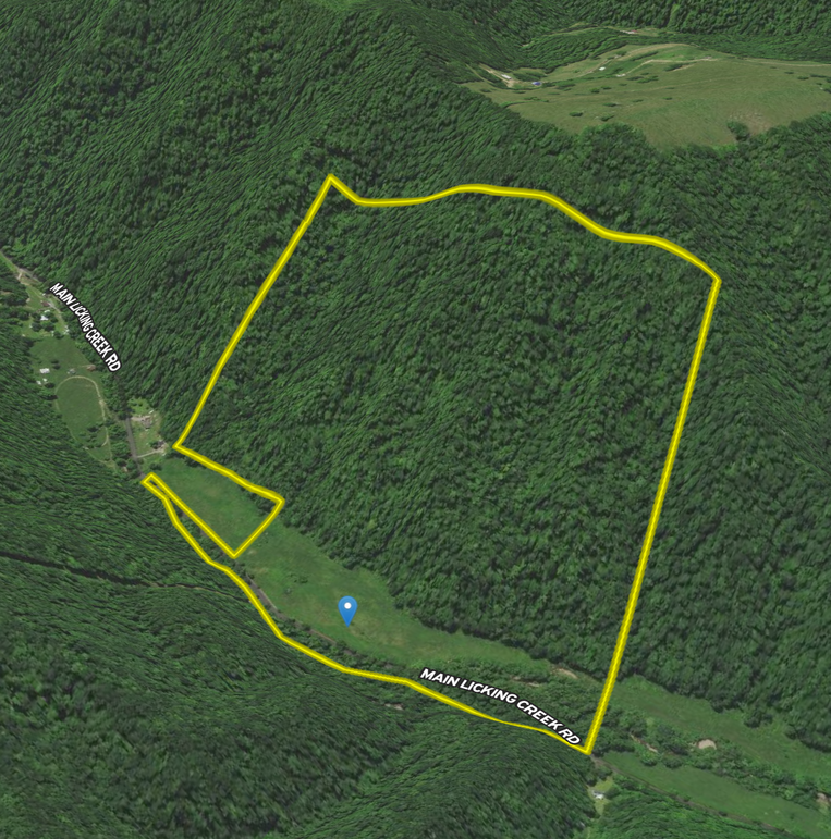 Screen Shot 2022-07-31 at 6.54.21 AM