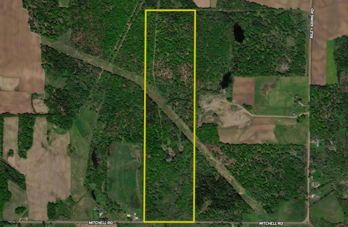 Screen Shot 2022-07-24 at 8.16.25 PM