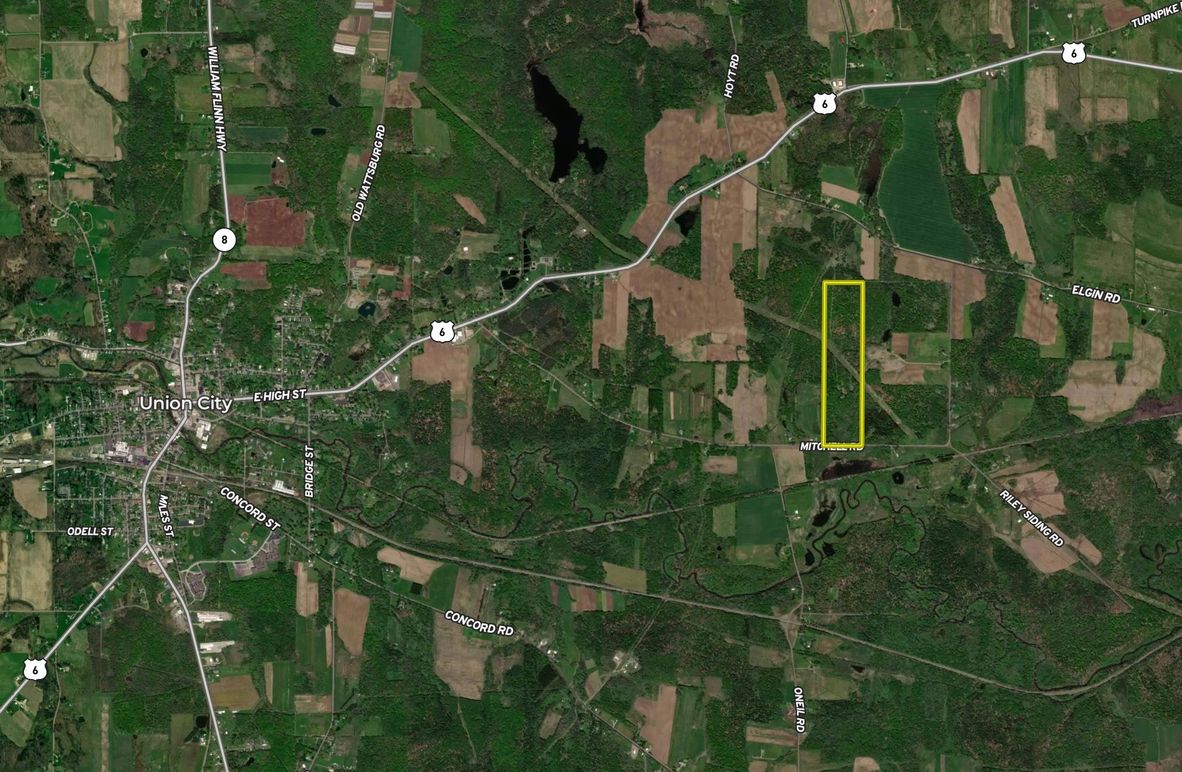 Screen Shot 2022-07-24 at 8.18.26 PM