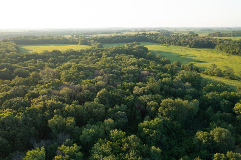 Benton IA 442 Pro Photo_29