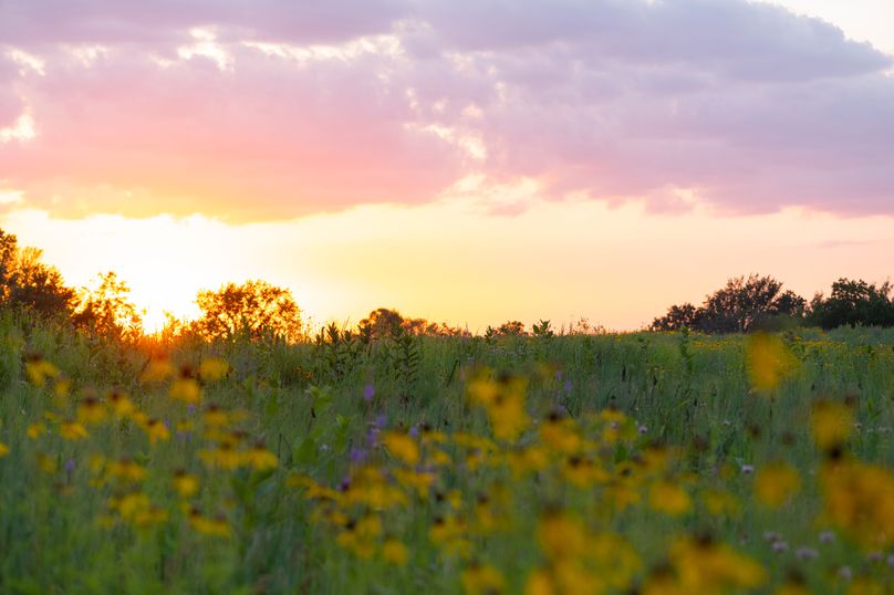Benton IA 442 Pro Photo_36