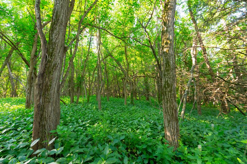 Benton IA 442 Pro Photo_69