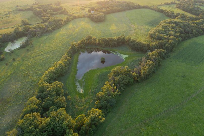 Benton IA 442 Pro Photo_7