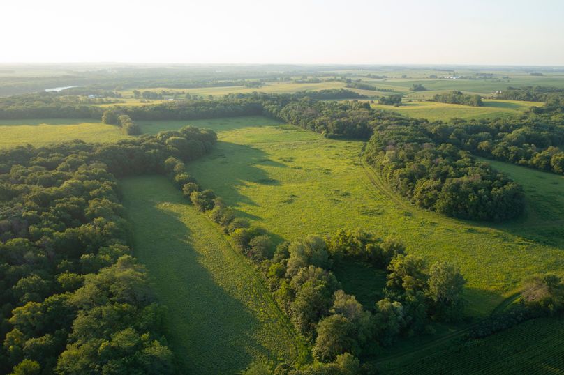 Benton IA 442 Pro Photo_31