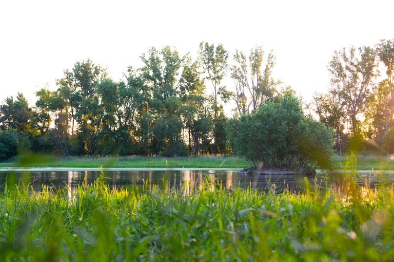 Benton IA 442 Pro Photo_56