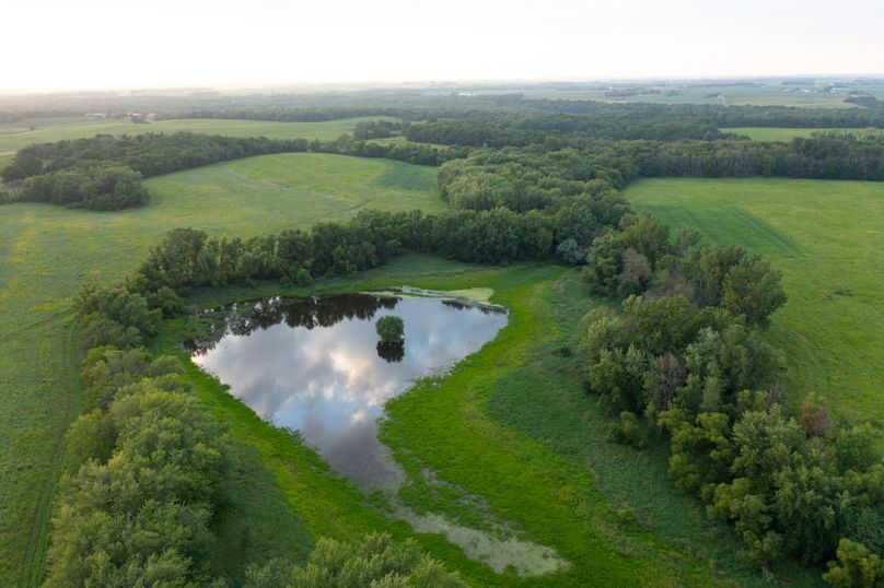 Benton IA 442 Pro Photo_2