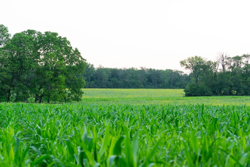 Benton IA 442 Pro Photo_42