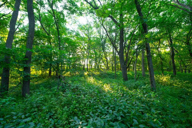 Benton IA 442 Pro Photo_51