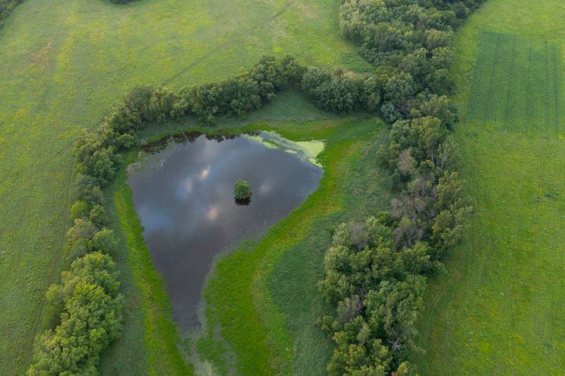 Benton IA 442 Pro Photo_3