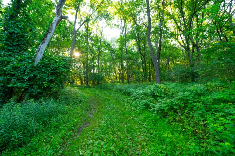 Benton IA 442 Pro Photo_49