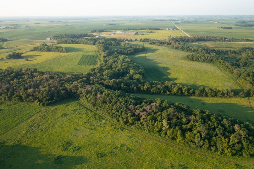 Benton IA 442 Pro Photo_34