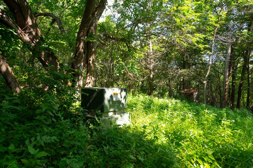 Benton IA 442 Pro Photo_75