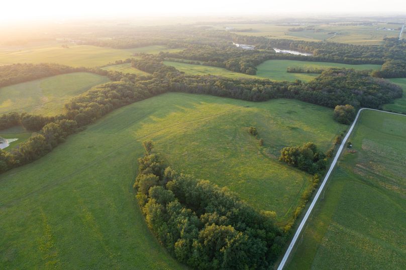 Benton IA 442 Pro Photo_6